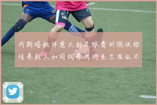 内斯塔批评意大利足球青训现状称培养新人如同饲养肉鸡米兰混乱不堪