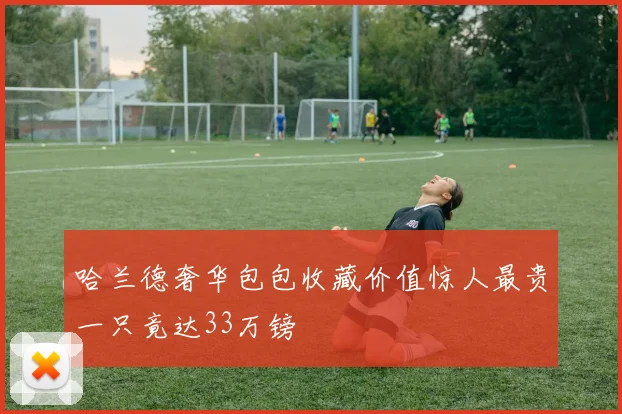 哈兰德奢华包包收藏价值惊人最贵一只竟达33万镑